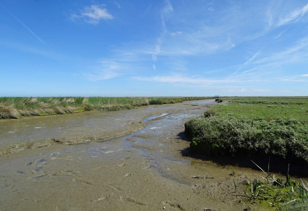 Kwelders Noordpolder